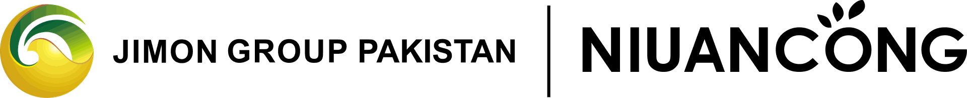 金木巴基斯坦